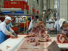 meat-640716_1920-zugeschnitten.jpg