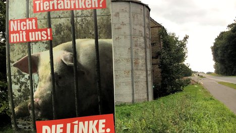 21728399_1538tierfabriken.jpg